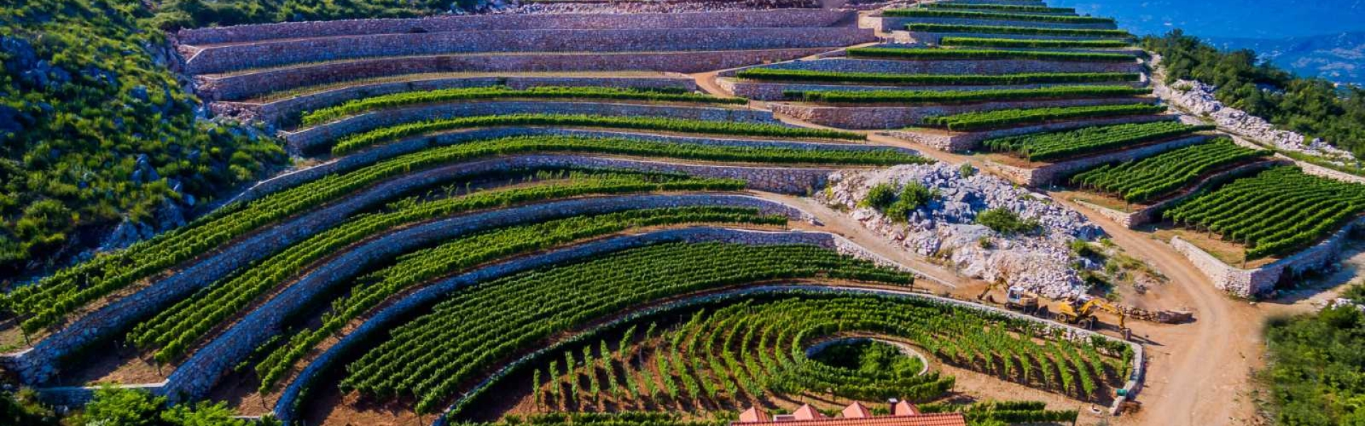 Tour dei vini e degustazione Montenegro 